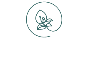 la Buganvilla